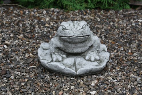 KA49 Toad on Lily